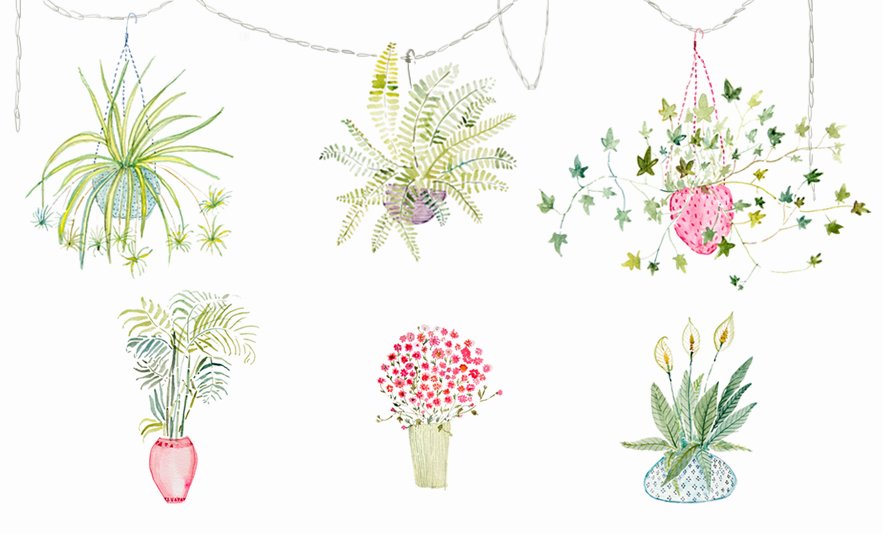 GardenCollage's tweet photo. These #plants are a breath of fresh air...literally! Find out why: https://t.co/CyRgZWJNcB https://t.co/zuv6Cj8v0y