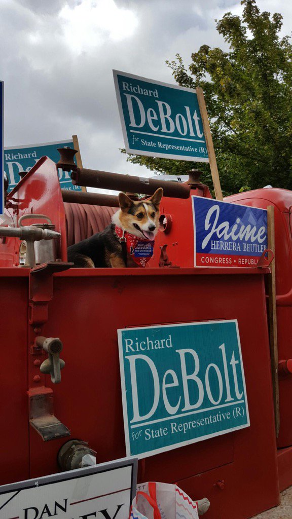 debolt20 tweet picture