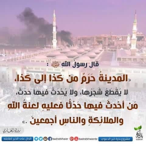 الأمرُالرشِيد tweet media
