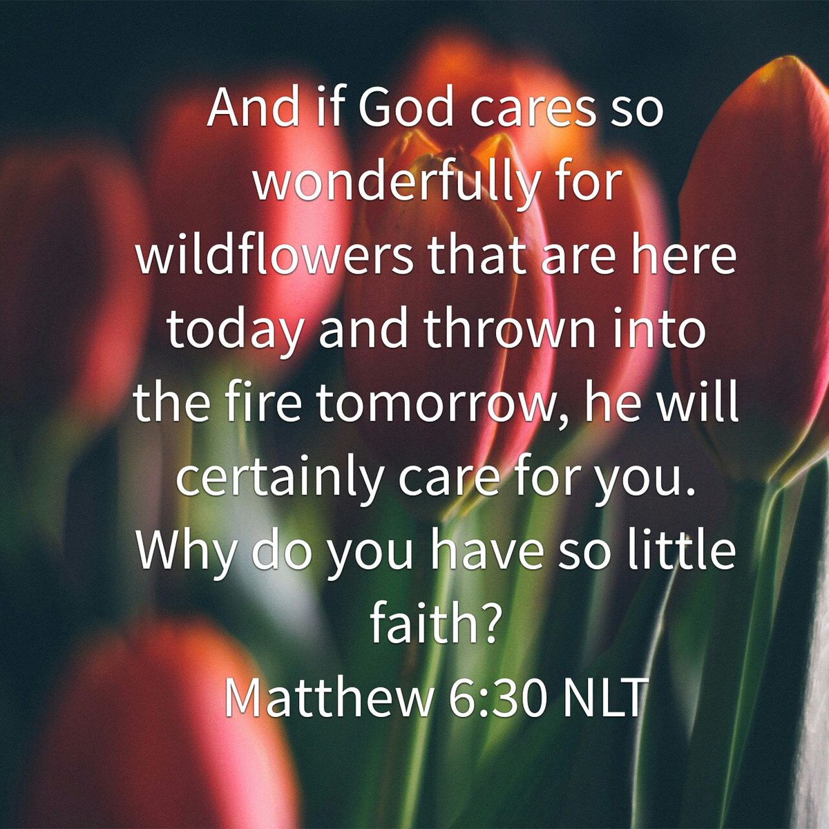 Jesus_MattersCM's tweet photo. You are God's greatest creation, why would He not care for you? #TheFatherLoves #TheChildHeMade #JMCSA https://t.co/9krULwRbUP