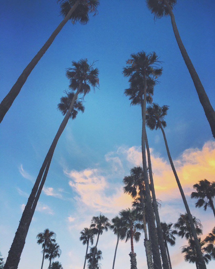 RagniAgarwal's tweet photo. Shake it Cali 🌞 #avfab #designlife https://t.co/ffLg5XWsgt