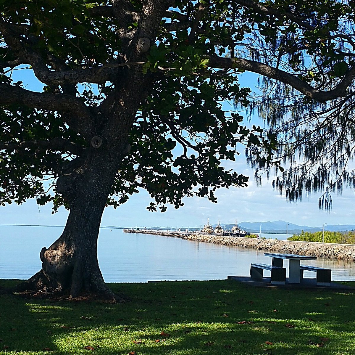 Could the weather be any more perfect! #lunch #picnic #visitbowen #perfectweather