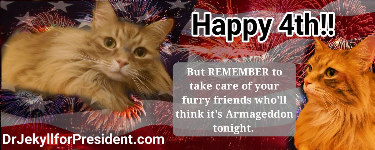 drj4prez's tweet photo. Believe me, I'm still running for and will be president! Happy #IndependenceDay and stop these damn fireworks!! https://t.co/evs3klElqG