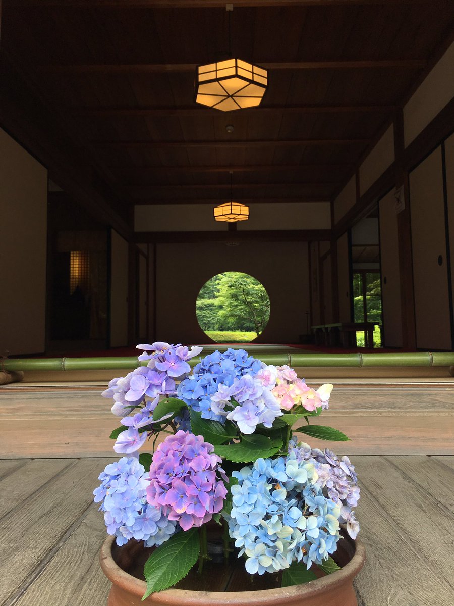 jovitzhang's tweet photo. @leepace Yesterday #Kamakura  Today #Kawaguchiko https://t.co/d5ipGvjwI8