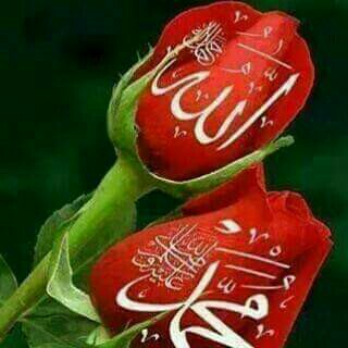 FridaBakker's tweet photo. @KiPranaLewu , Selamat Hari Raya Idul Fitri 1437 H, Minal Aidin Walfaidzin mhn maaf lhr n bathin#WeLoveKPL https://t.co/dZ0aNq33XA