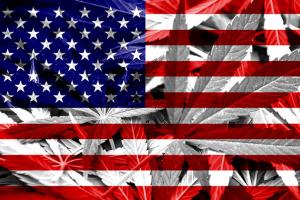 NewYorkHemp's tweet photo. HIGH TIMES Legislative Roundup: July 4 https://t.co/oSDZNy4ICX https://t.co/0Px2w1gWVR