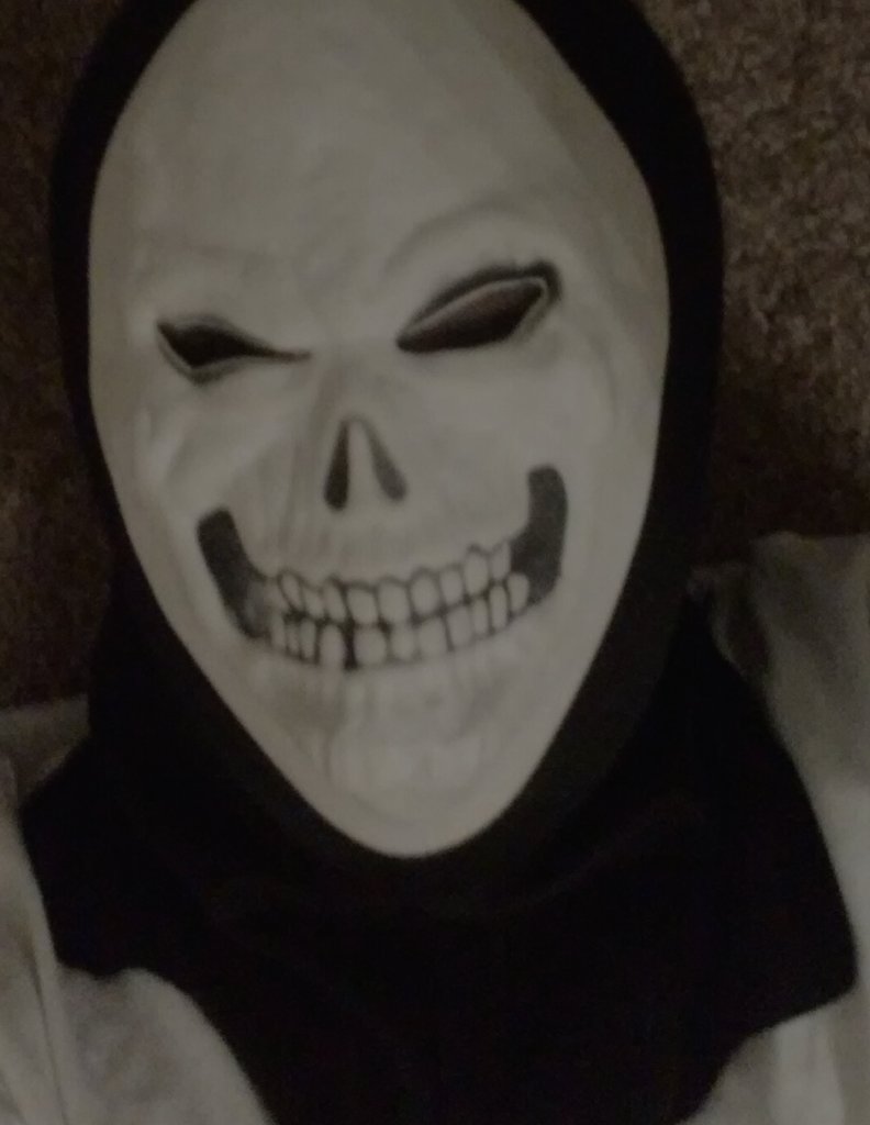 Skeleton656's tweet image. Selfie! 💀Can't wait to find my coat I'll look so cool! 😊