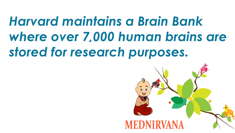 MedNirvana's tweet photo. Download Mednirvana from Google Playstore today

#Brainrepository #Mednirvana #healthapp #nearesthospital #chemist https://t.co/xdSj7NPTGy