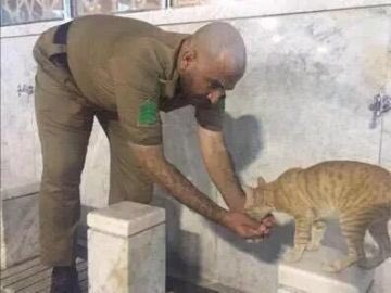 Arabs_1_'s tweet photo. ايقتل مثل هؤلاء ؟! https://t.co/z39ExPmEl1