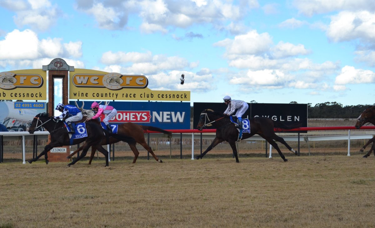 newcastleraces_'s tweet photo. @Leesracing &amp; @gibbo7822 win Wine Country Motor Inn Cl1 (1350m) with @Austbloodstock Star Reflection. #NJC https://t.co/Fhv6HMIA0l
