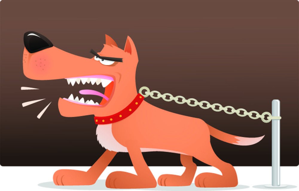 Reachfar_GPS's tweet photo. Do you want your dog like this?
Reachfar iPet GPS tracker make your dog joyful. https://t.co/Zo0aOuBJS8 https://t.co/DhkX5WVST2