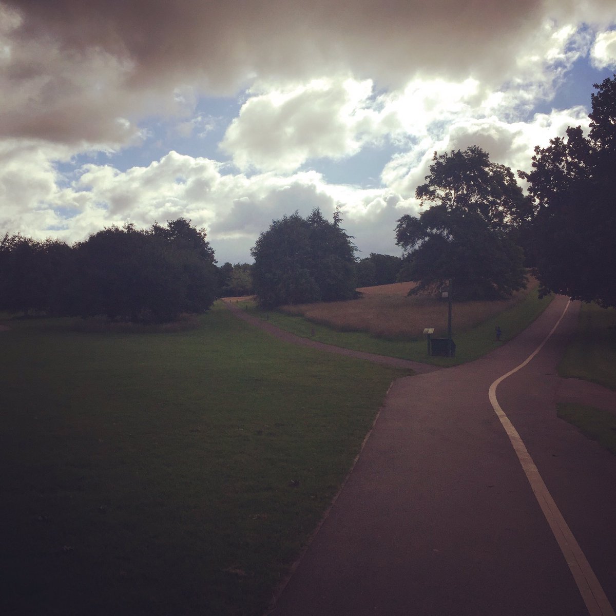bluebananna's tweet photo. One day ambient #XPS meeting @UniofNottingham and this was my walk to the #physics dept #travellingscientist https://t.co/jyTXYU0fvW
