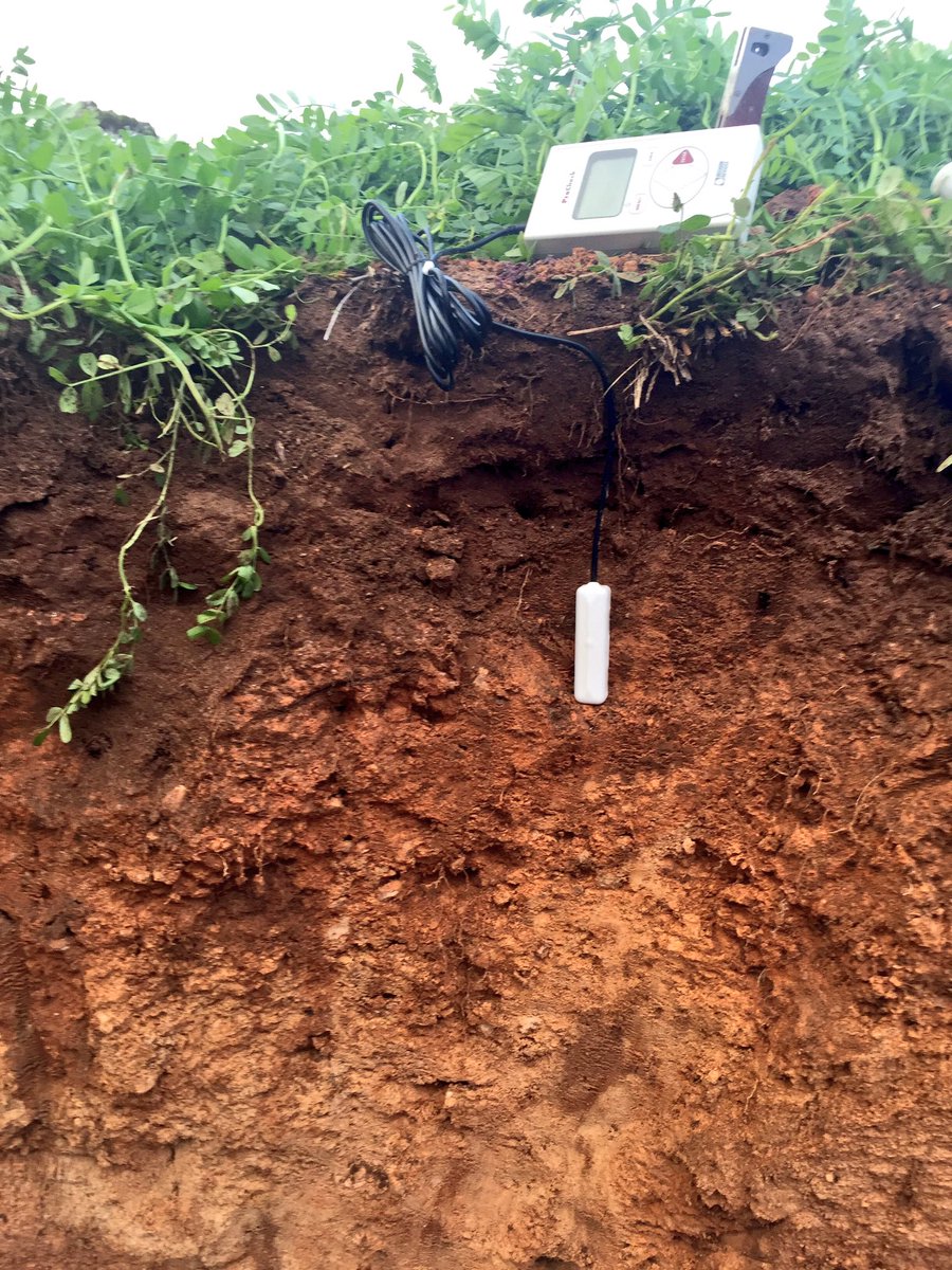 Edward Scott tweet media