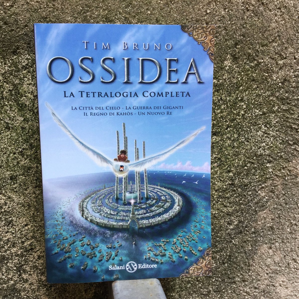 salanieditore's tweet photo. Un unico volume per tutti gli episodi della vostra saga preferita #Ossidea https://t.co/h0zBcvB4ef