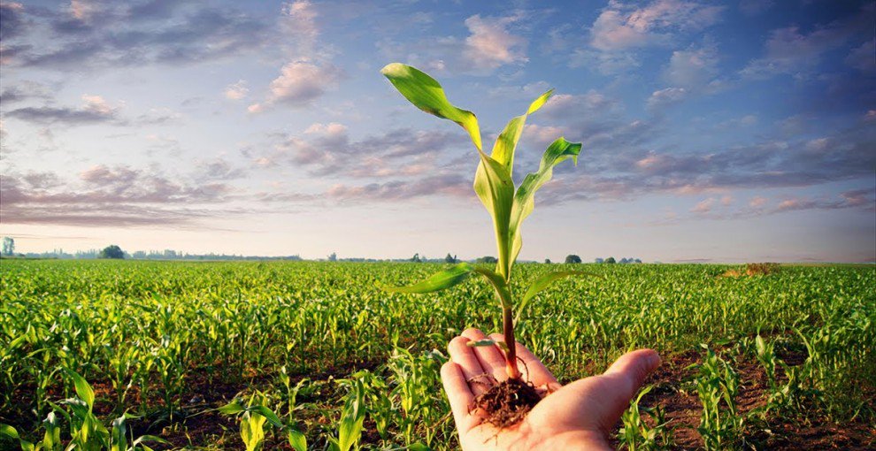aggralabs's tweet photo. Articular la Agroecología y la Biotecnología es posible.
Ayudar al planeta, es promover la vida. #AGGRA https://t.co/w05yclhS9b