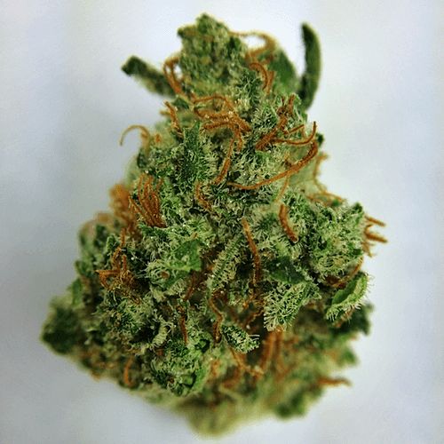 ThinkTankExile's tweet photo. Looking for something #sweet in taste &amp; earthy in aroma? #GrapeGod to the rescue! https://t.co/M5ezRYPhOl https://t.co/JOUqTqqpdZ