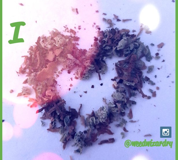 Weed Wizardry Weed Wizardry Twitter