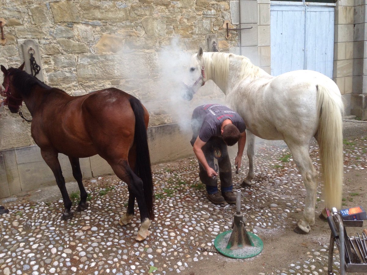 TerresCathares's tweet photo. Temps réel ↓ https://t.co/RZxYKpkuLE
Maréchal-ferrant à #Château Chalabre
#cheval #marechalferrant #métier #art https://t.co/JemI6zlvH2