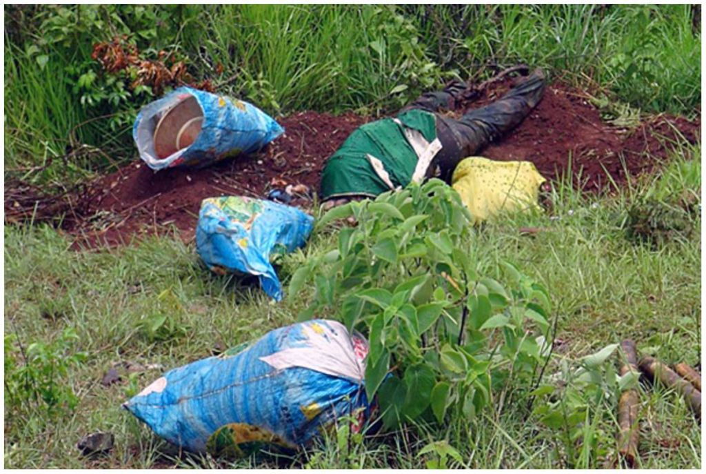 IPMSDL's tweet photo. Statement on Extrajudicial Killings and Illegal Detentions of Palaung and Shan peoples… https://t.co/8PRggQDZbr https://t.co/6GOmxuGGNc