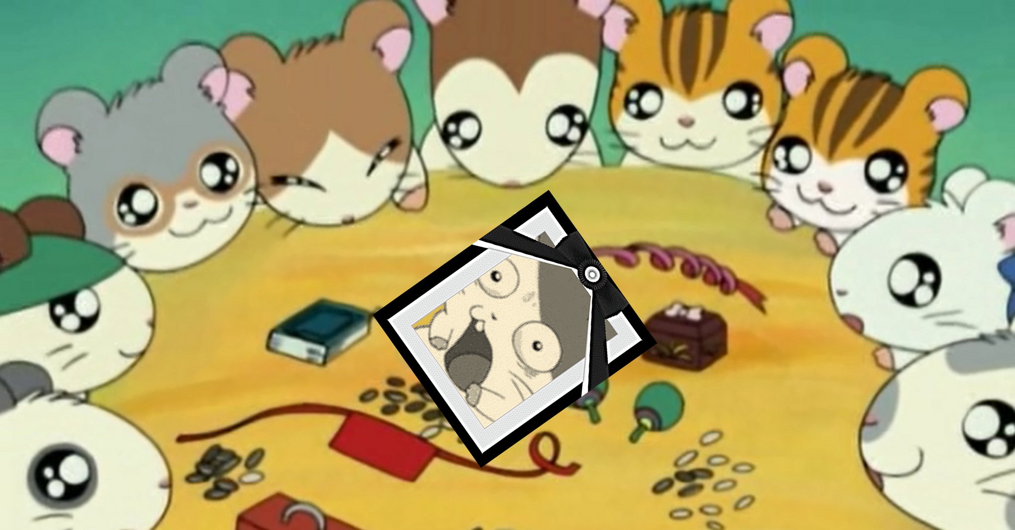 あるけー ハムちゃんず だ いすきなのは ひ まわりのたね とっとこ 走るよハm マール あ 見てぽっぽ 朝ごはんがいるよぉ ラァァッキ ハム太郎 う うわぁああああぁあ あるけー ハムちゃんず だ いすきなのは ひ まわりのたね とっとこ 走るよハm マール あ 見てぽっぽ 朝ごはんがいるよぉ ラァァッキ ハム太郎 う うわぁああああぁあ