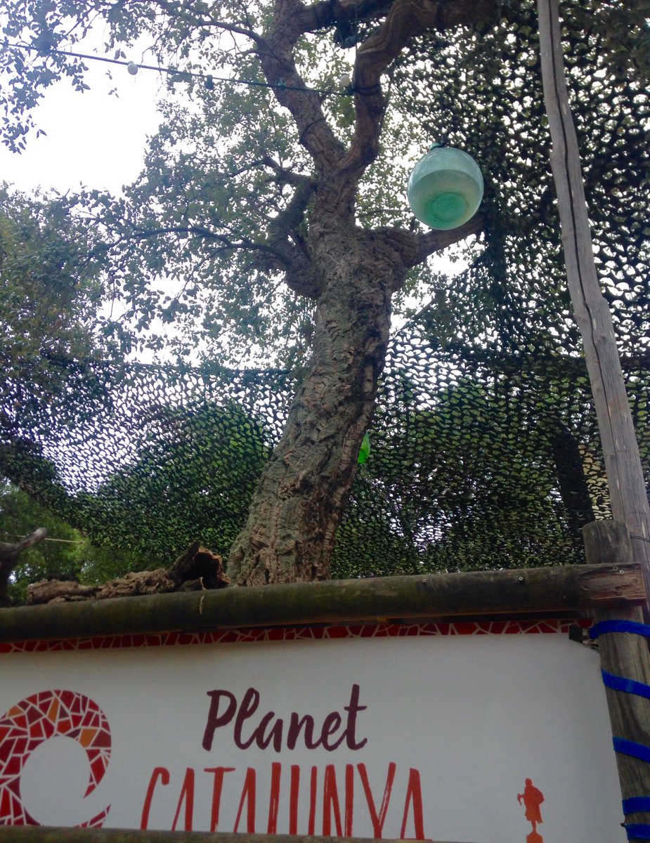 dasoundtruck tweet media