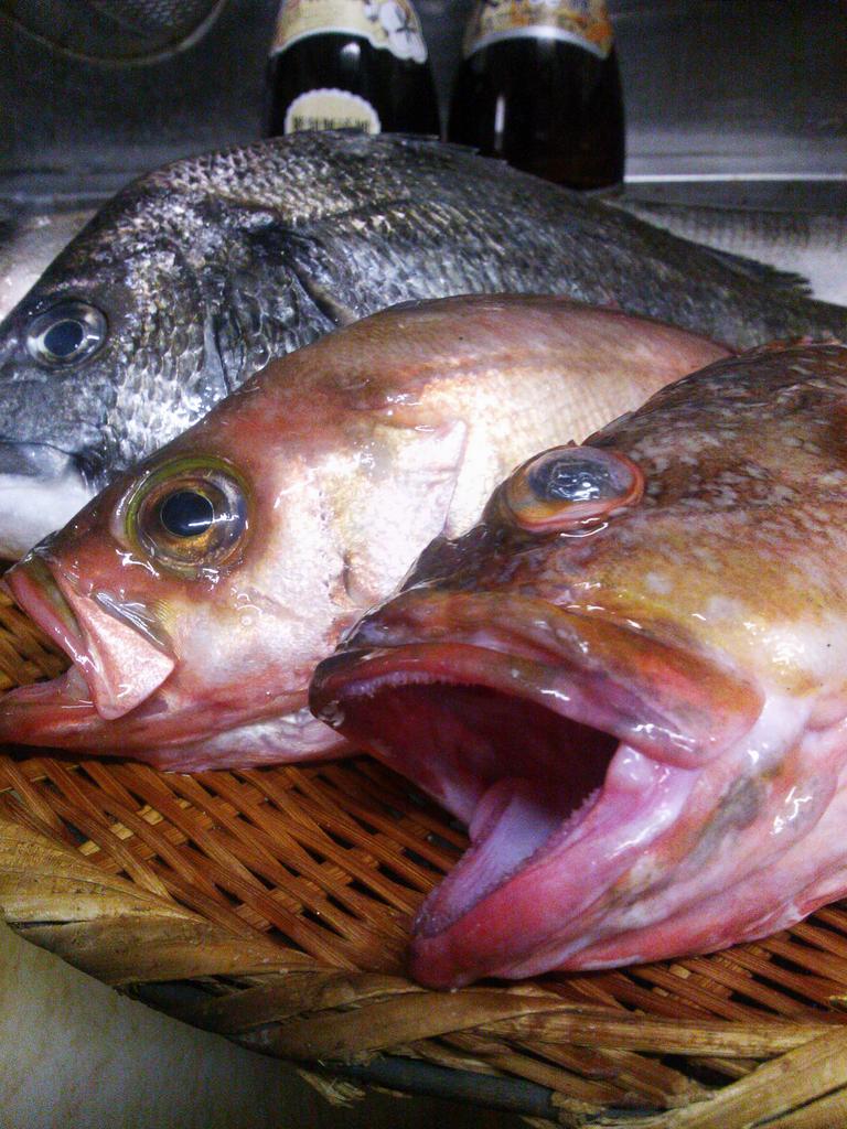 ট ইট র すし屋の中川 大将が カキ以外に今日は イイ白身魚 入ってきた 揃ってる と言いながらおろしてます 珍しい カサゴにメバル スズキに黒鯛 青魚は 鯵が入ってま す