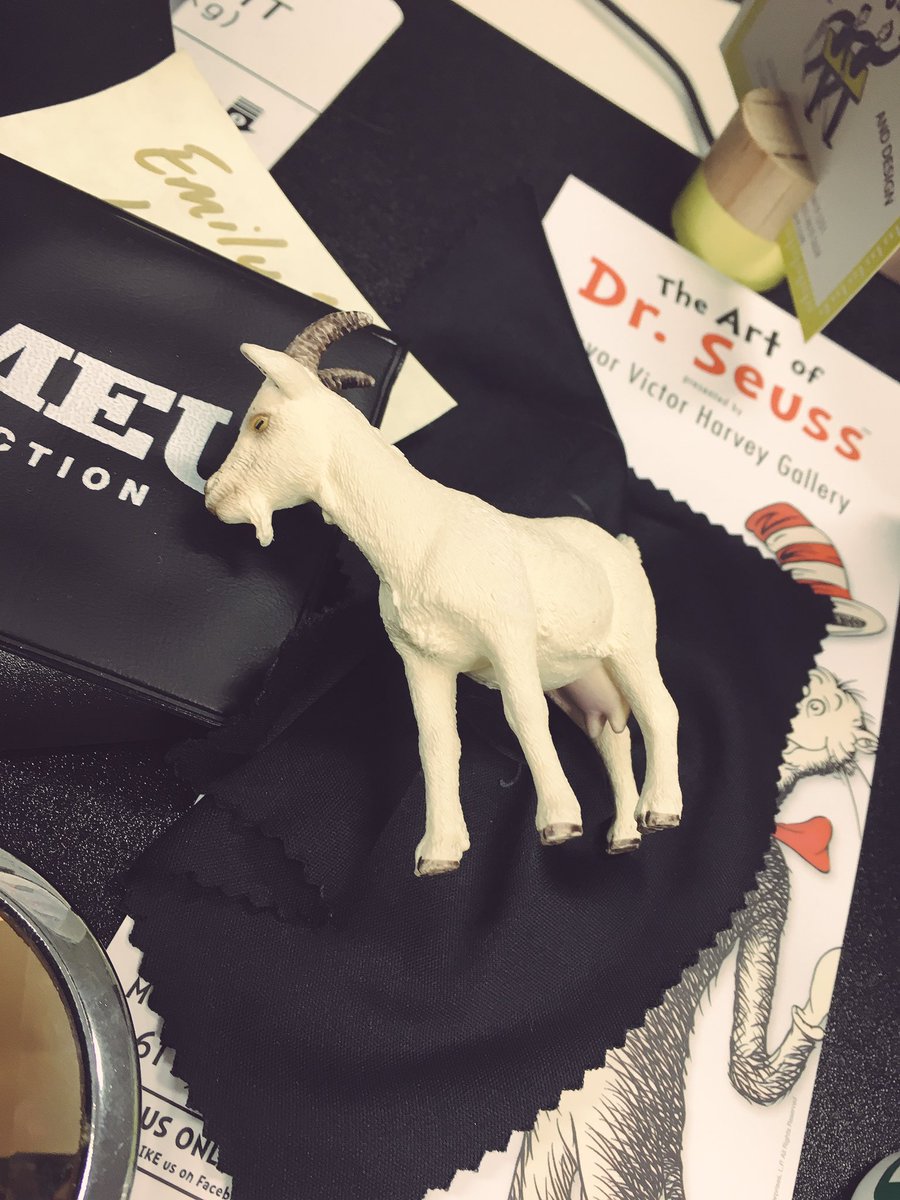 Billy_UnionGoat's tweet photo. Just having a wee afternoon kip... Election weekend got me beat. https://t.co/b6CD6xfByp
