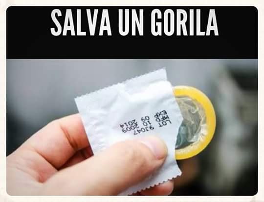 Sexualizarte tweet media