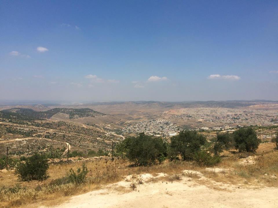 We joined EU tour t <a href="/TentOfNations/">Tent of Nations</a> yd. Organic farm threatened w confiscation due to decl of Israeli state land.