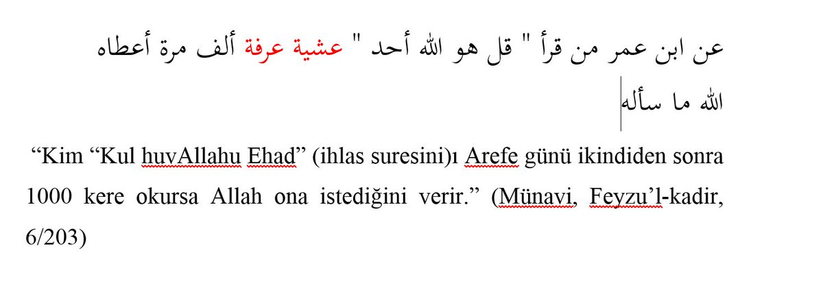 İslam Dini’nin  tebliğ ve temsilinde çok önemli bir yeri olan Abdullah b. Ömer’in(r.a.)Arefe günü mesajı: