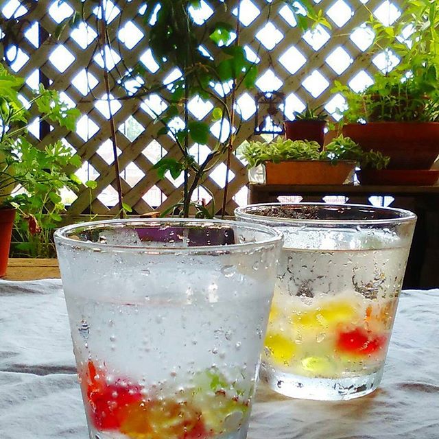 HariboGreece's tweet photo. #haribo #soda #martini #justperfect 📷: @haribo.greece https://t.co/cUZJaM1oJl