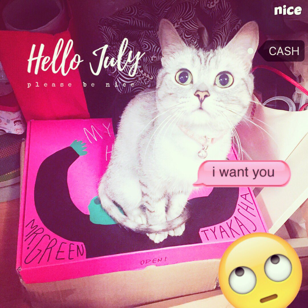 SillyPark67's tweet photo. my sweety cat:cash https://t.co/jykCvqg9qJ