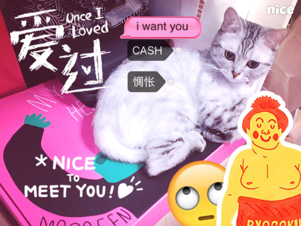 SillyPark67's tweet photo. my sweety cat:cash https://t.co/jykCvqg9qJ