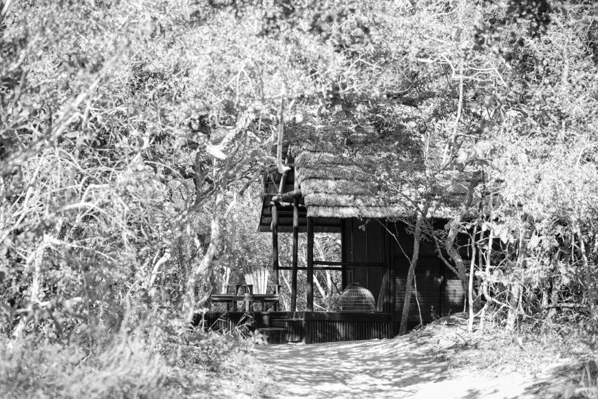 ThisIsKZN's tweet photo. Lovely blog about #KosiForestLodge complete with great photos: https://t.co/hO7GUIaVM7 @IsibindiAfrica @SouthAfrica https://t.co/ZPt0Ovx7BD