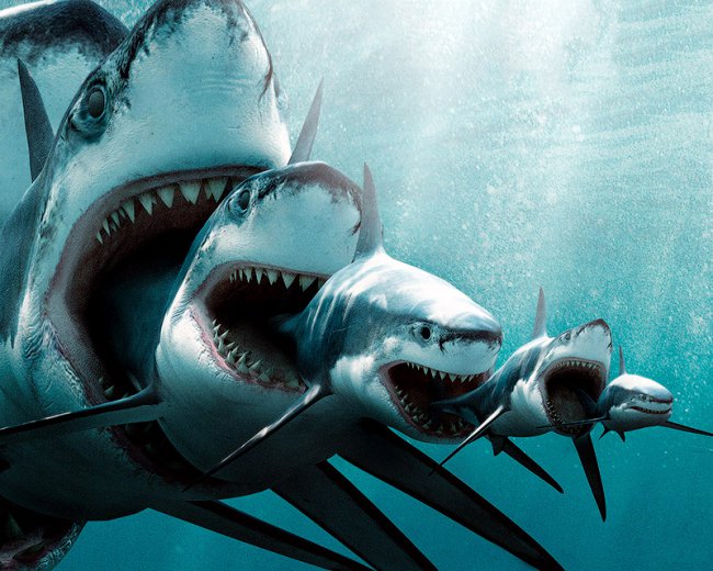 Курс "Старт" для начинающих трейдеров: научись рулить валютой. Стань акулой форекса! aofx.ru/trading-academ… #aofx