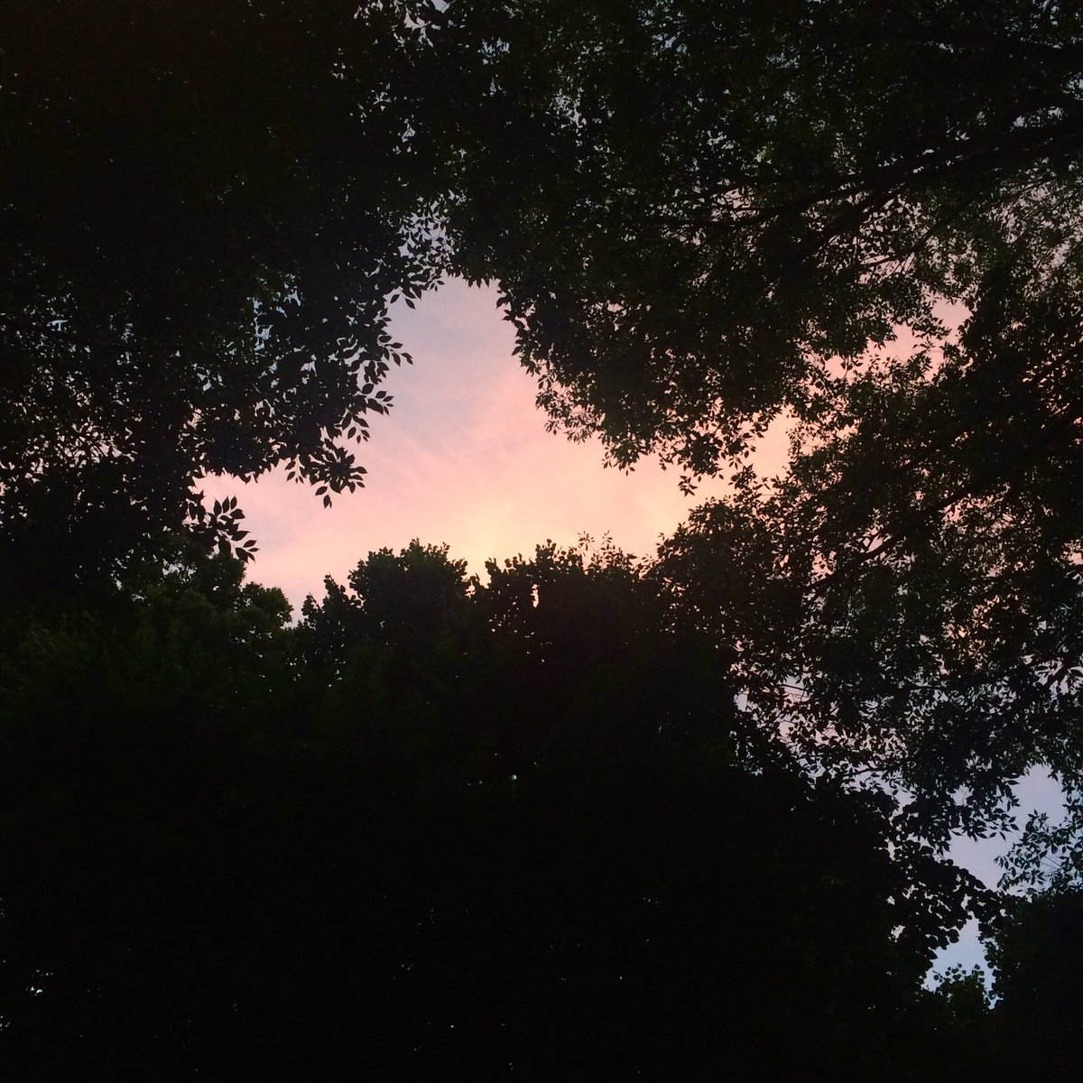 chia_r's tweet photo. Tramonti, a Milano. #Milan #sunsets https://t.co/mWUl8i7aa2