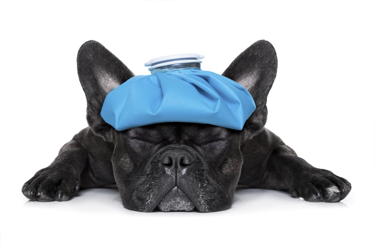 ParkInsurance01's tweet image. How personal injury can set your life back:  buff.ly/1Ypt2I8 
#insurance #insurancedeals