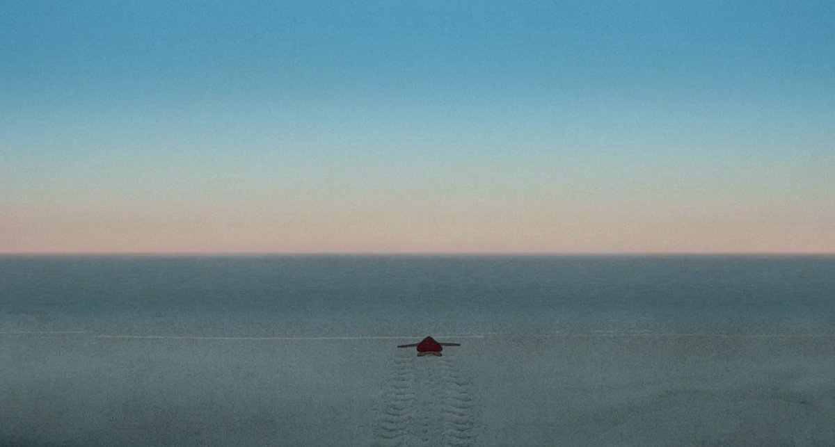 La saison culturelle est clôturée mais l'été ne manque pas de coups de cœur #LaTortueRouge #LaLoiDeLaJungle