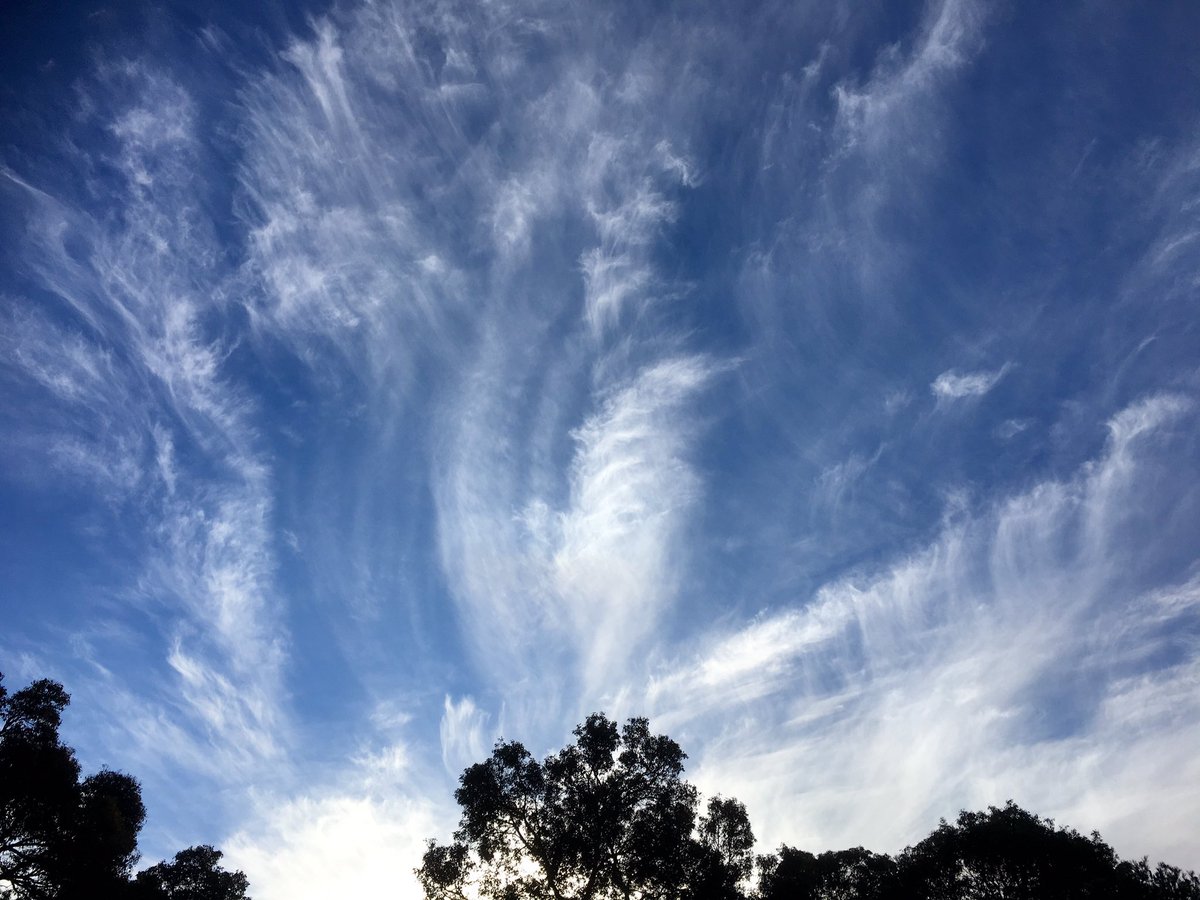 beata_mounsey's tweet photo. Awesome Cloud Porn this arvo in Gelorup W.A
5/7/16
@BunburyWeather @CloudAppSoc @MORECAST_Au @uSnapt @jr_the_ferret https://t.co/fb5yhyWjGc
