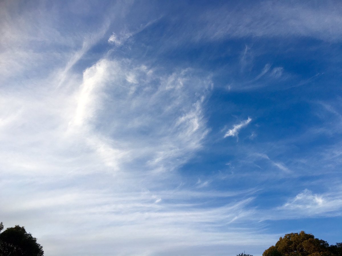 beata_mounsey's tweet photo. Awesome Cloud Porn this arvo in Gelorup W.A
5/7/16
@BunburyWeather @CloudAppSoc @MORECAST_Au @uSnapt @jr_the_ferret https://t.co/fb5yhyWjGc
