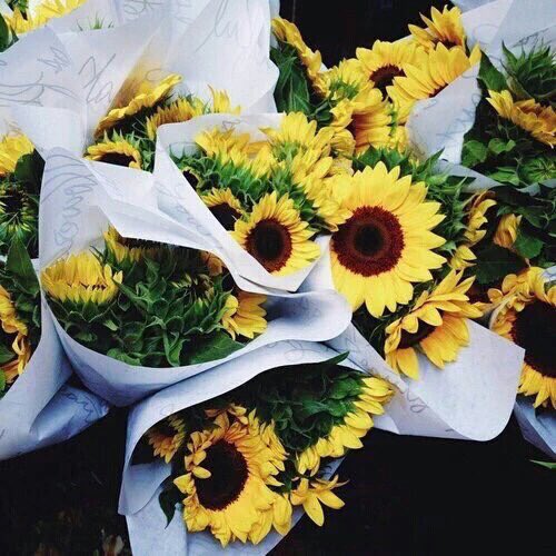 lifechooses's tweet photo. ✧choose one✧ https://t.co/nozWjbag0L