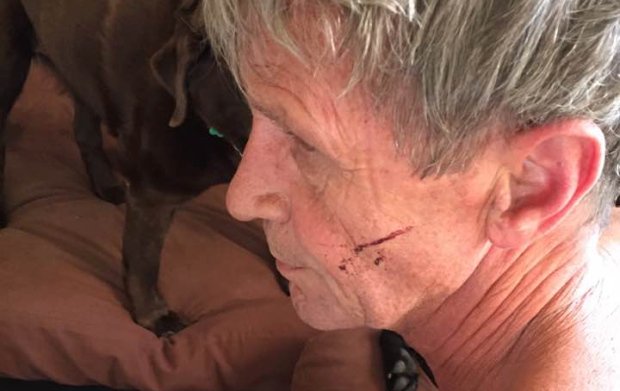 "Most bears are right-handed:" #Sudbury man punches bear in the face, lives to tell the tale cbc.ca/news/canada/su…