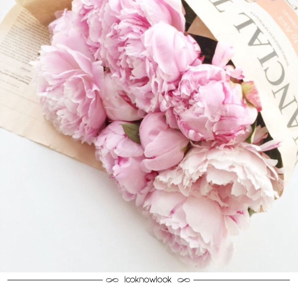 Looknowlook's tweet photo. Que o dia seja lindo! <3
#inspiração #flores #peônias #bomdia #felicidade #beleza #flowers #beauty #morning https://t.co/SaBBbKF4RG