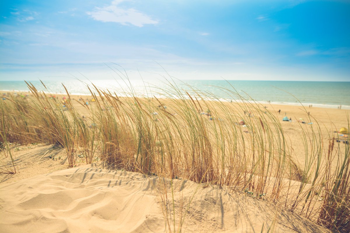 sqlserverdays's tweet image. Summer break? Perfect timing for a picture with your SQL Server Days T-shirt to win a free ticket! info@sqlug.be