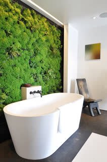 How to Keep Water Vapour From Ruining Your House and Your Health houzz.com/ideabooks/6835…