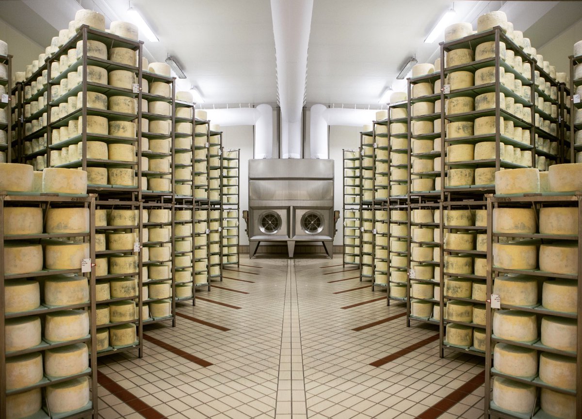 Vallebona's tweet photo. #snap #symmetry #gorgonzola #cheese #italy https://t.co/DefZf5E3YO