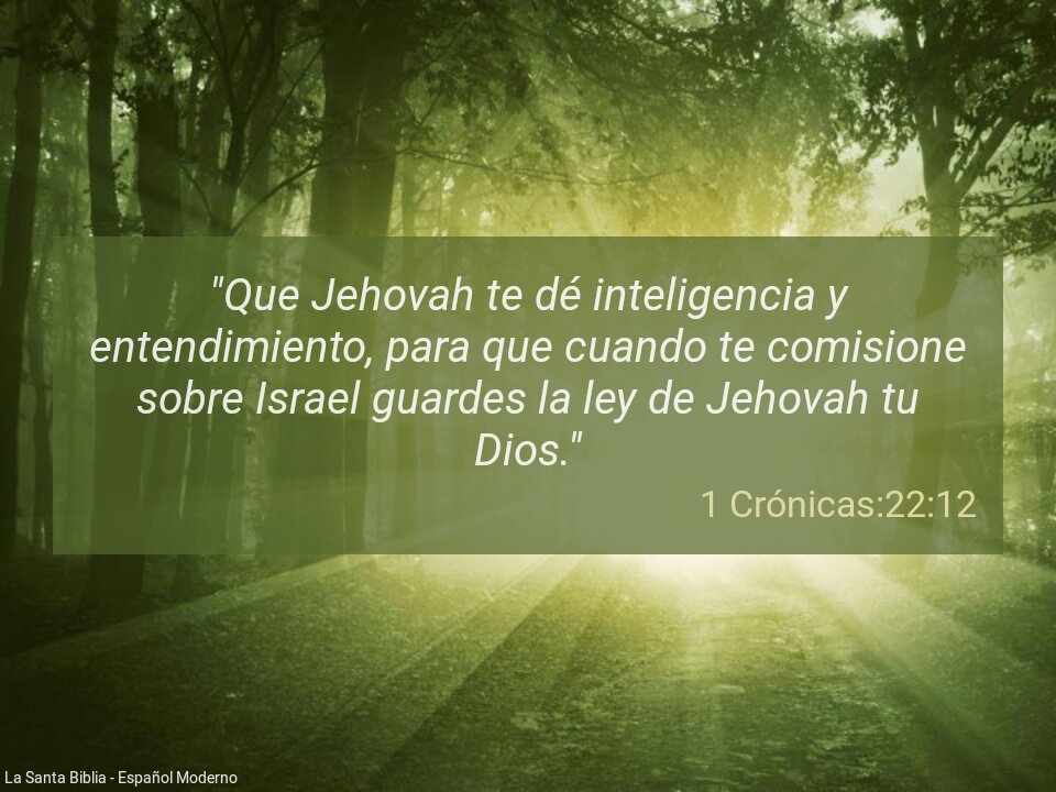 UruchiFreddy's tweet photo. Que la palabra de Dios sea hoy una realidad en tu vida. #rpsp. https://t.co/u25hHmY9Y1