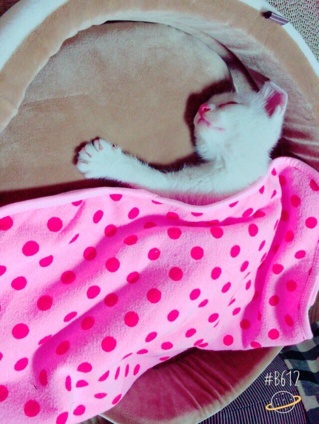 Rico_0130's tweet photo. Wパンチで疲労感やばいー😨
まだ火曜日！？って何回言ったんだろう👵
なこから送られてくる画像がどれもリア充過ぎる〜🔥 https://t.co/KospLn9RwO