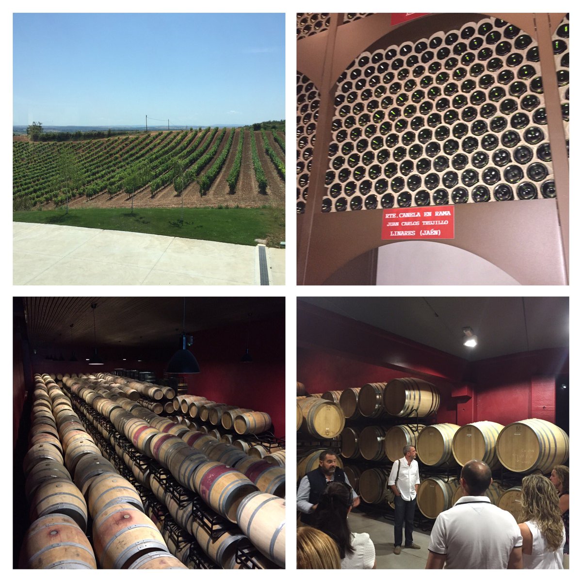 SupremoAOVE's tweet photo. Otro rollo, más cuca, modelo preciosista el de Bodegas Traslascuestas #riberizate #RiberaDelDuero https://t.co/0S3PWyxXxg