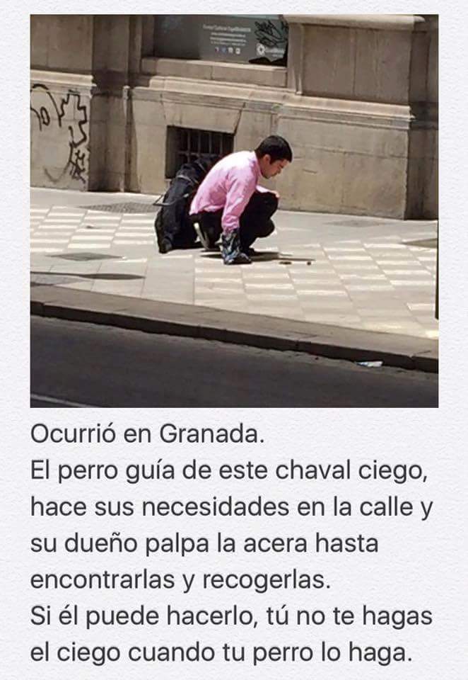 A los hijos de puta que no recogen la mierda de sus perros,  se les debería caer la cara de vergüenza al ver esto.